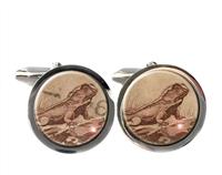 Tuatara Postage Stamp Cufflinks Round